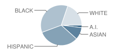 Community Preparatory School Student Race Distribution