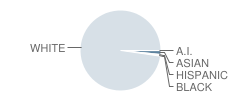 Mount St Charles Academy Student Race Distribution
