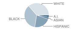 Ocean Tides School Student Race Distribution