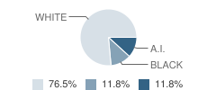 South Shore School Student Race Distribution