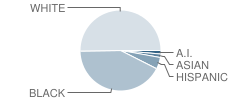 St Mary School Student Race Distribution