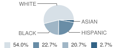 St Paul School Student Race Distribution