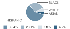 The San Miguel School Student Race Distribution