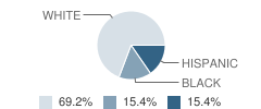 Children's Learning Express School Student Race Distribution