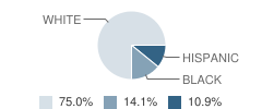 Beaufort Christian School Student Race Distribution