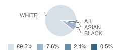 James Island Christian School Student Race Distribution