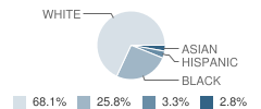 Mt Zion Christian School Student Race Distribution