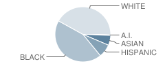 Sloan's School Student Race Distribution