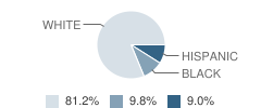 Step of Faith Christian Academy Student Race Distribution