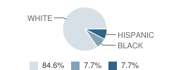 Faith Christian School Student Race Distribution