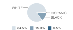 Trinity Christian School Student Race Distribution