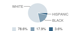 Faith Christian School Student Race Distribution