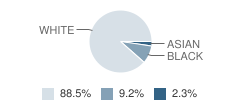 Christ the King Lutheran School Student Race Distribution