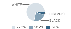 Cumberland Hall Academy Student Race Distribution