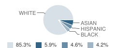 St Bernard Academy Student Race Distribution