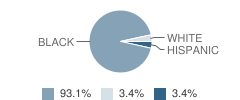 St George's Independent School, Memphis Student Race Distribution