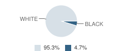 United Christian Academy Student Race Distribution