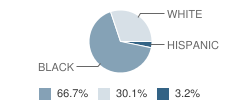 Memphis Catholic Middle/High School Student Race Distribution