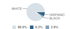 Appalachian Christian School Student Race Distribution