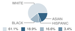 Al-Hedayah Academy Student Race Distribution