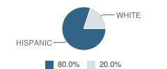 Amistad Christian High School Student Race Distribution