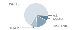 Believers Academy Student Race Distribution