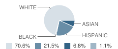 Collins Catholic School Student Race Distribution