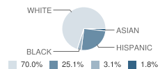 Cornerstone Christian School Student Race Distribution