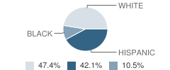 Houston Learning Academy Student Race Distribution