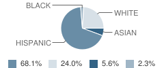 Immanuel Christian School Student Race Distribution