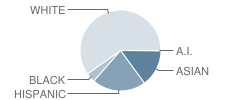 Keystone School Student Race Distribution