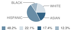 Mount Carmel High School Student Race Distribution