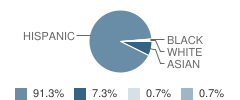 Presbyterian Pan American School Student Race Distribution