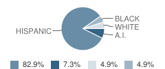 Royal Point Academy Student Race Distribution