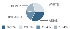 Spell Well Montessori School Student Race Distribution