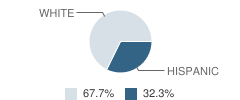 Ss Cyril & Methodius School Student Race Distribution