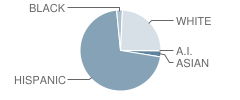 St Anthony Catholic School Student Race Distribution