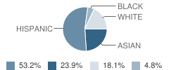 St George School Student Race Distribution