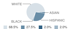 St Helen Catholic School Student Race Distribution