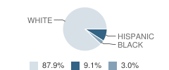 St James Episcopal School of Dallas Student Race Distribution