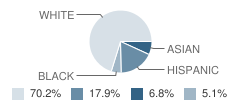 St Mary's School Student Race Distribution