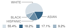 St Michael Catholic School Student Race Distribution