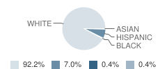 St Paul High School Student Race Distribution