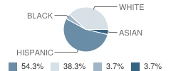 St Theresa Elementary School Student Race Distribution