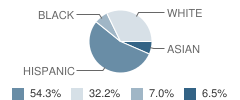 St Thomas More Catholic School Student Race Distribution