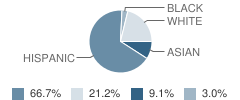 St Vincent De Paul Elementary School Student Race Distribution