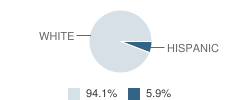 Stephenville Christian School Student Race Distribution