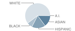 Strake Jesuit College Preparatory School Student Race Distribution