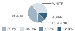 Sugar Grove Christian School Student Race Distribution