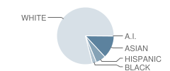 The John Cooper School Student Race Distribution